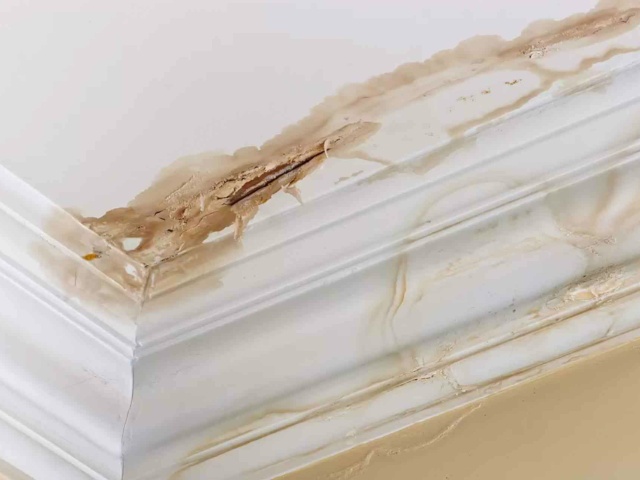 Water Damage on Ceiling
