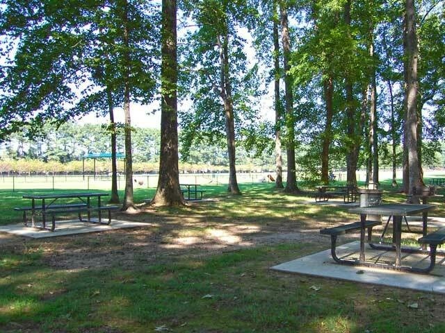 Red Wing Gallery Picnic Area