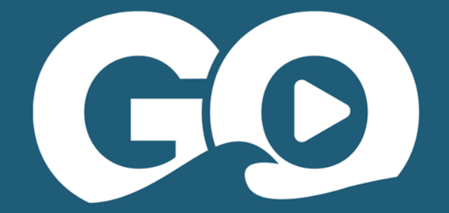 VBGO Logo