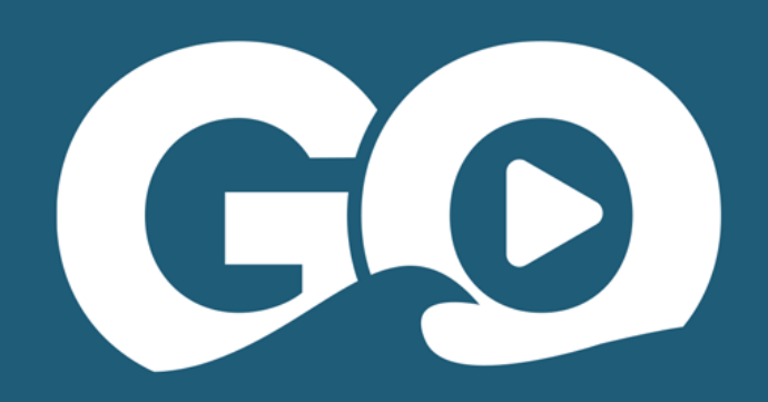 VBGO Logo