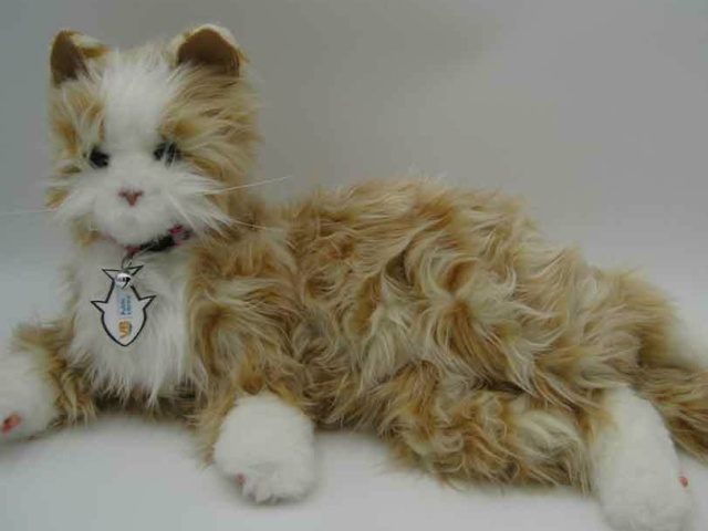 Companion Pet Orange Tabby