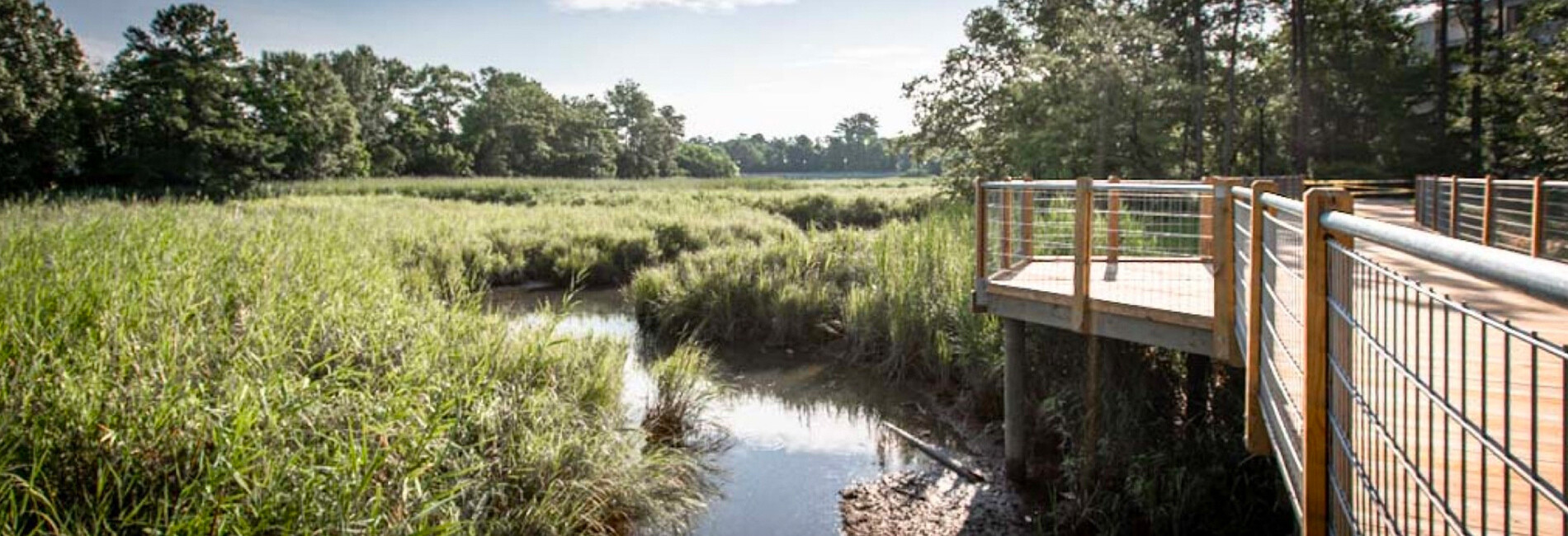 Thalia Creek Greenway