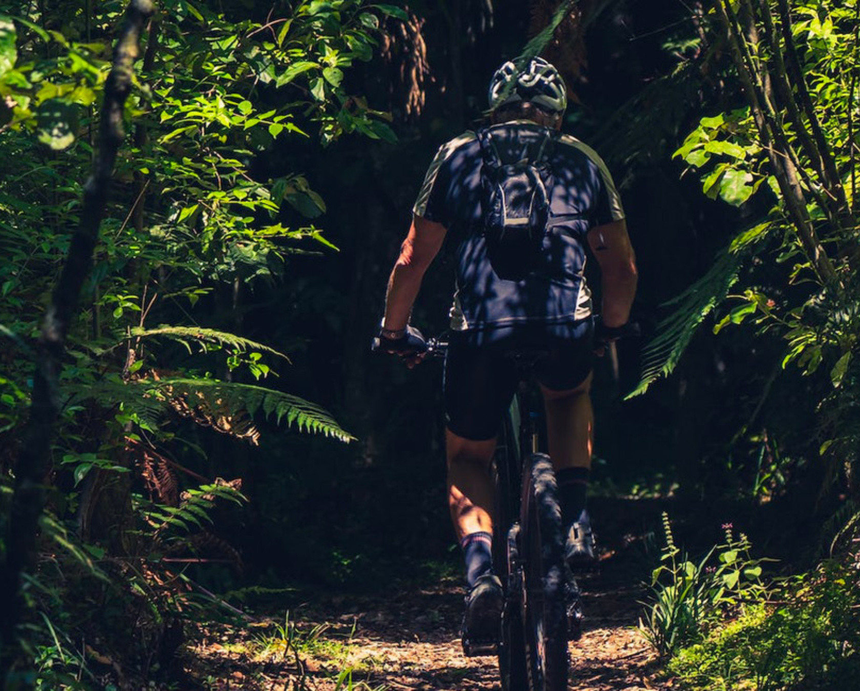 Man Riding Bike on Trail
